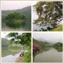 의림지-03 이미지