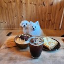 팔공산 애견동반 카페 : Cafe.803 조용한 프라이빗 방갈로