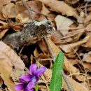 보훈농장 이미지