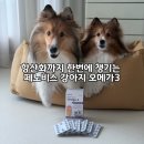 벳코어 | 강아지 오메가3 추천 | 항산화까지 챙긴 페노비스 벳 멀티코어 오메가-3 후기