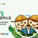 유기농엑스포광장 이미지