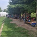 성동 서울숲 여름캠핑장 이미지