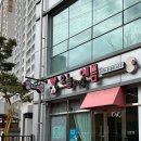 오늘DOG예쁨 이미지