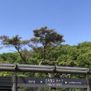 산림 올림픽 🌳 제 15회 세계산림총회에 다녀오다!