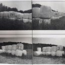 대지영농조합법인 이미지