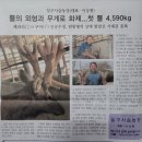 일구사슴농장 이미지