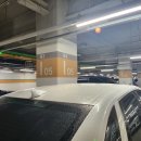 코엑스전시장(몰) | [예비맘 꿀팁] 2025년 봄 코베 베페 비교 후기 – 코엑스 vs 킨텍스 뭐가 다를까?