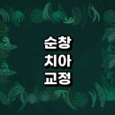 순창군 치아교정 잘하는 전문치과 병원 추천 | 비용 후기 설측교정 돌출입 앞니 투명 무턱 부분 교정기...