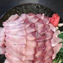 크랩회피쉬 이미지