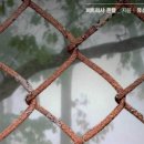 (유) 평화농장 이미지