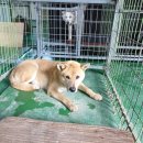 덕인목장 이미지