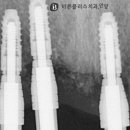 보일치과기공 네이버블로그