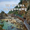 정동개발