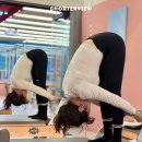 모듈필라테스