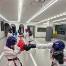 아이킹스태권도 이미지