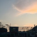 카페이루소(IRUSO)