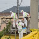 254 남도일보