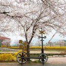 (주)오세요 이미지