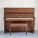 스테이 도랑 이미지