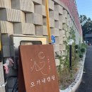 오가네약국 | 제천 오가네 캠핑장에서 첫 캠프닉 후기