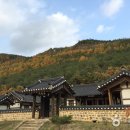 종택 이미지