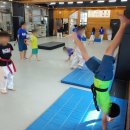 MBA 태권도 이미지