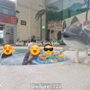 오션플레이 사우나 | 단양여행, 소노벨 단양 오션플레이, 사우나 아기랑 설 연휴 후기