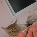 설아네미용실