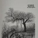회화적 드로잉 | 회화나무 펜 드로잉 후기