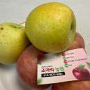 조아라농원