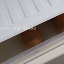 퍼털그라운드 이미지