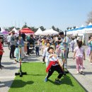 [전라북도 김제시] 김제 꽃빛드리 축제
