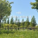 대부힐스 | 대부바다향기테마파크 데이트ㅣ입장료·주차 공짜인데 이렇게 예쁜 게 실화야
