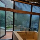 비다펠리스