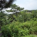 여주-1006 이미지