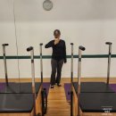 리라 | 삼성역피부과 리라주사 후기. 복부지방분해주사 지분주 다이어트