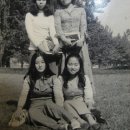 희남농장 Daum카페