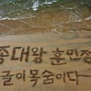 배또롱