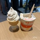 맥도날드 앞 | 운정 스타필드 빌리지 아이스크림 햄버거 맛집 맥도날드 내돈내산 후기