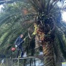 정모시공원 이미지