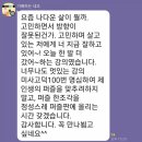 섬채 네이버블로그