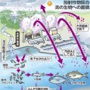 태평양 방사능오염 10년간 예상도와 세계의 주요해류 [가생이닷컴 펌] 이미지