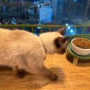 집사의하루 남포점 이미지