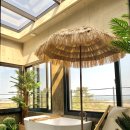 제주독채펜션돌담감성숙소밭담점 이미지