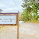 더 포레스트 애월 민박 이미지