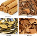 Cinnamon, 계피, 계지, 육계 등의 용어와 진위여부 상식 이미지