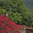 GS25 단양신창점 이미지