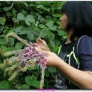 칠백농장 이미지