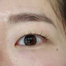 둔산중로 | 대전 속눈썹 펌 : 리메이드 대전점 - 합리적인 가격, 내돈내산 후기