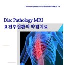 ＜1월 31일 (토) 광주＞ 요추 disc pathology M R I 진단 및 요천추 질환의 약침치료 이미지